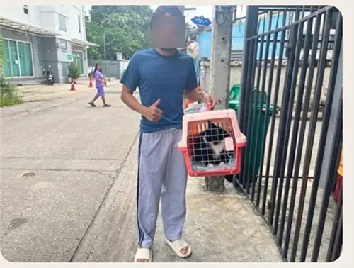 รายละเอียดค่าบริการขนส่งสัตว์เลี้ยง