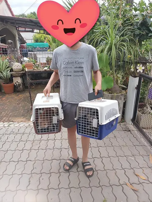 ส่งน้องหมาน้องแมว